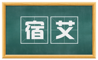 宿艾