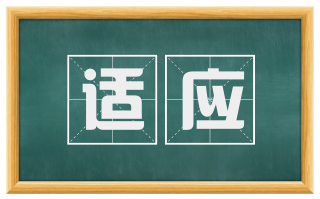 适应