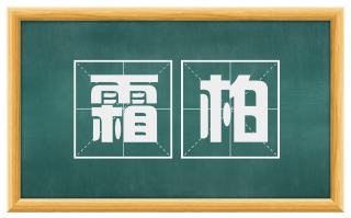 霜柏