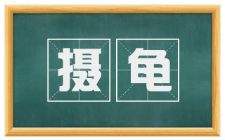 摄龟