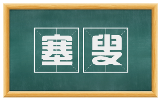 塞叟
