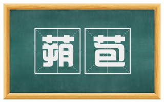 蒴苞
