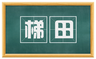 梯田