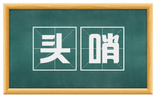 头哨