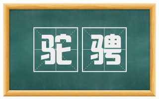 驼骋