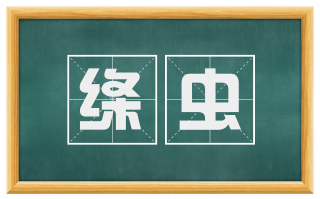 绦虫