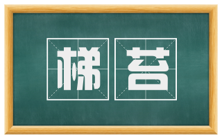 梯苔