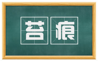 苔痕
