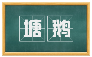 塘鹅