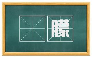 朣朦