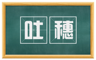 吐穗