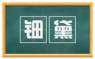 钿黛