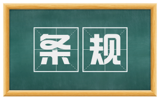 条规