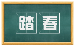 踏春