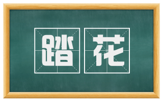 踏花
