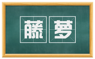 藤萝