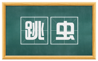 跳虫