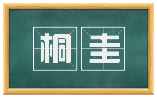 桐圭