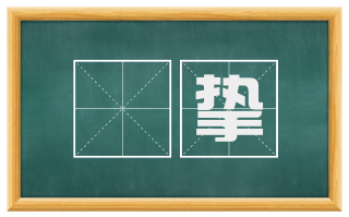 忳挚