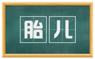胎儿