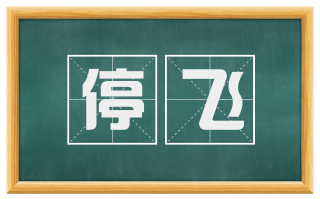 停飞
