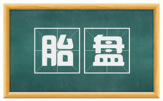胎盘