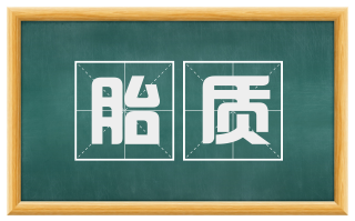 胎质
