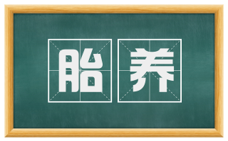 胎养