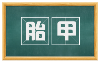 胎甲
