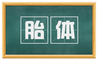 胎体