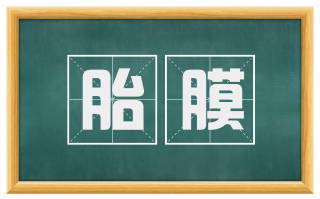 胎膜