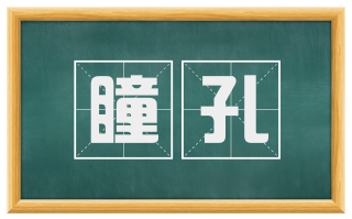 瞳孔