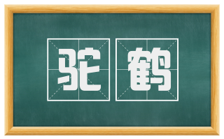 驼鹤