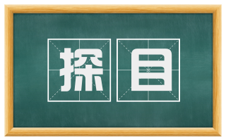 探目