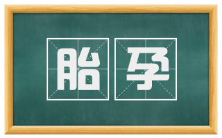 胎孕