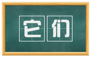 它们