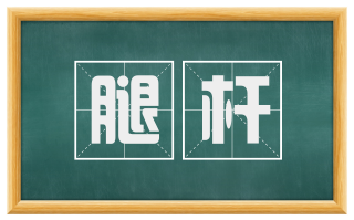 腿杆