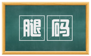 腿码