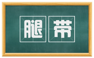 腿带