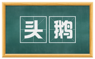 头鹅