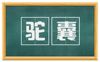 驼囊