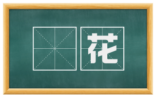 楟花