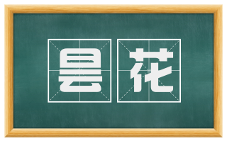 昙花