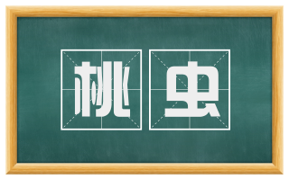桃虫