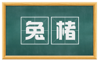 兔楮