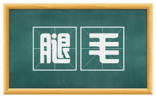 腿毛