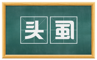 头虱