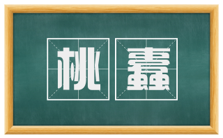 桃蠹