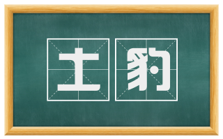土豹