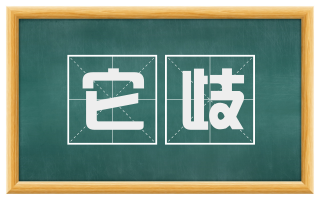 它歧